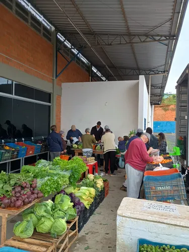 Câmbio Verde acontece nesta sexta-feira no bairro Cruzeiro