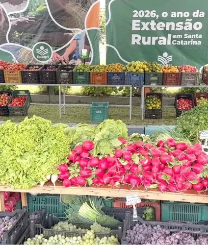 Programa Câmbio Verde chega ao bairro Brasília com patrocínio da ArcelorMittal