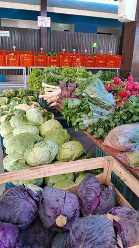 Câmbio Verde retorna nesta sexta-feira com edição no bairro Serra Alta