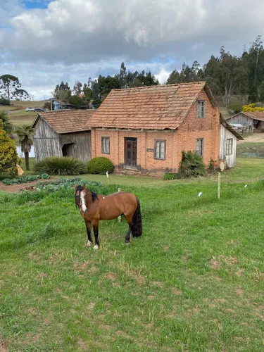 Rota do Patrimônio abre inscrições para caminhada histórica na Estrada Dona Francisca