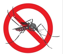Prefeitura de Papanduva faz alerta para prevenção da Dengue durante a preparação para o Dia de Finados